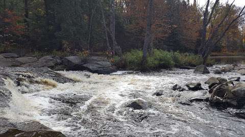 Rosseau Falls Picnic